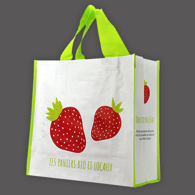 pp woven shopping bags